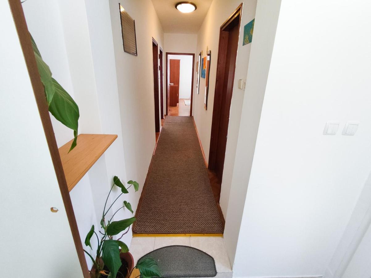 Apartment Arija 扎达尔 外观 照片